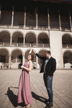 Güzel çift, erkek, kız uzun pembe elbise eski kale sütunlar yakınındaki poz ile. Krakow Vavel