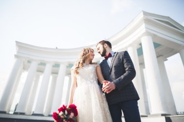 Güzel çift, gelin ve damat büyük beyaz sütun poz