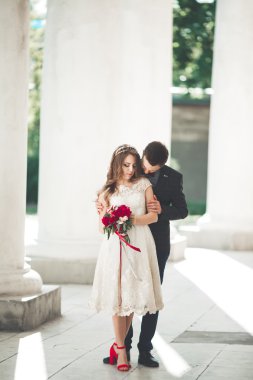 Güzel çift, gelin ve damat büyük beyaz sütun poz