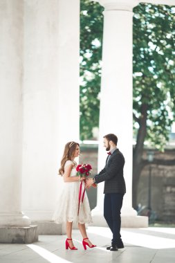 Güzel çift, gelin ve damat büyük beyaz sütun poz