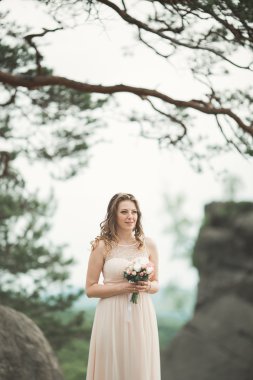 Güzel gelin kaya arka plan yakınındaki dağlarda poz