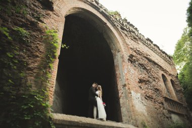 Mutlu yeni evliler yürüyüşte antik castle yakınındaki oteller
