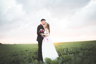 Güzel çift genç gelin ve damat günbatımı arka plan üzerinde. Güzel gökyüzü