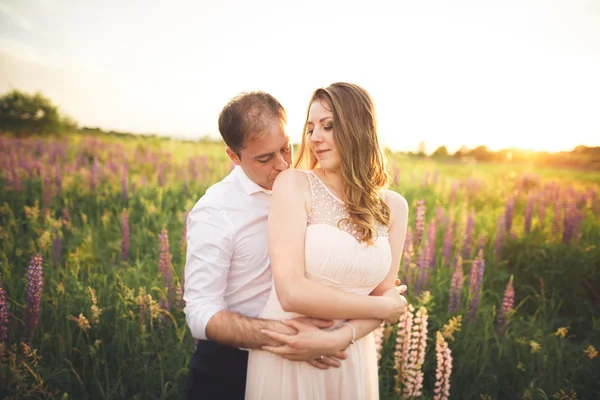 Невеста и жених, рискующие на закате на красивом поле с цветами, романтическая супружеская пара — стоковое фото