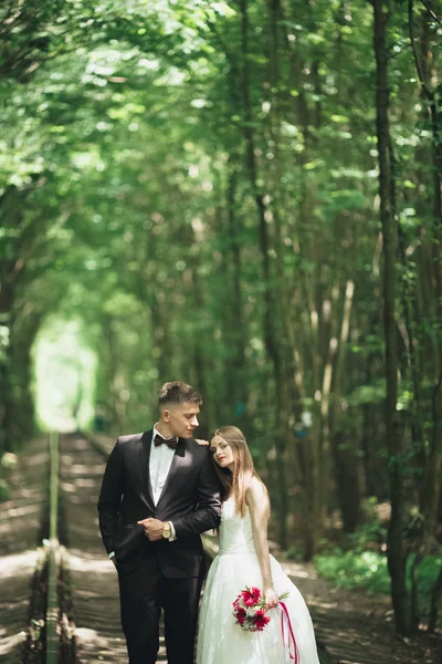 Happy wedding couple charming groom and perfect bride posing in park — Stok Foto