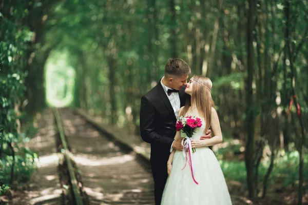 松の木の森の中でキスのロマンチックな新婚カップル — ストック写真