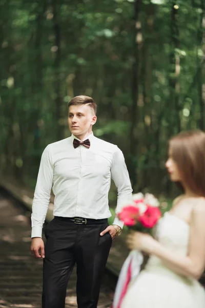 Muhteşem gülümseyen damat. Yakışıklı bir paketindeki — Stok fotoğraf