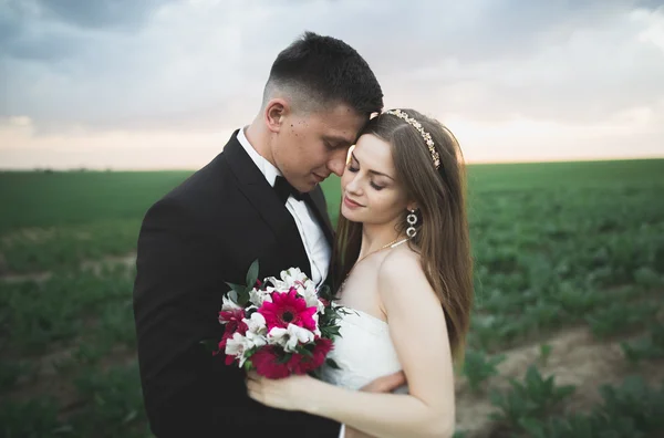 Hermosa pareja en el campo, amantes o recién casados posando en la puesta del sol con el cielo perfecto — Foto de Stock