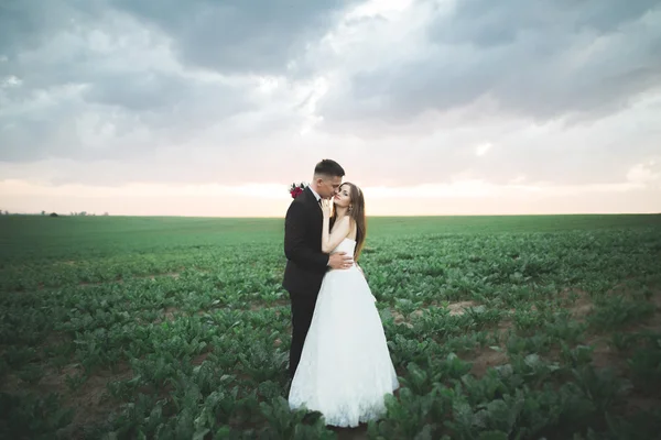 Bella coppia in campo, Amanti o appena sposati in posa al tramonto con cielo perfetto — Foto Stock