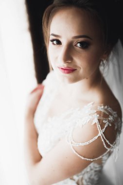 Tüylü, lüks makyaj, saç stili, stüdyo içi fotoğraf çekimi olan güzel bir gelin.