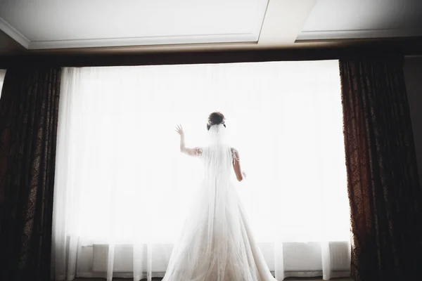 Hermosa novia con vestido de novia de moda con plumas con maquillaje de lujo deleite y peinado, estudio sesión de fotos interior — Foto de Stock