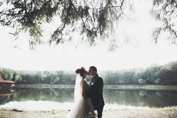 Casal de casamento beijando ficar sobre bela paisagem — Fotografia de Stock