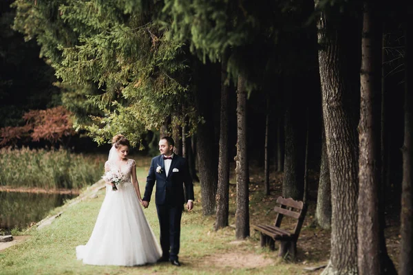 Casal feliz caminhando em um parque botânico — Fotografia de Stock