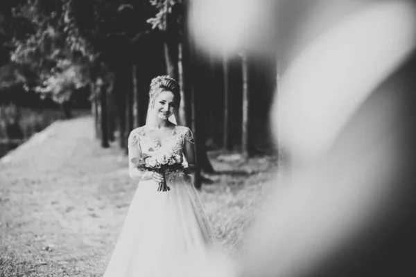 Hermosa novia joven de lujo en vestido de novia posando en el parque — Foto de Stock