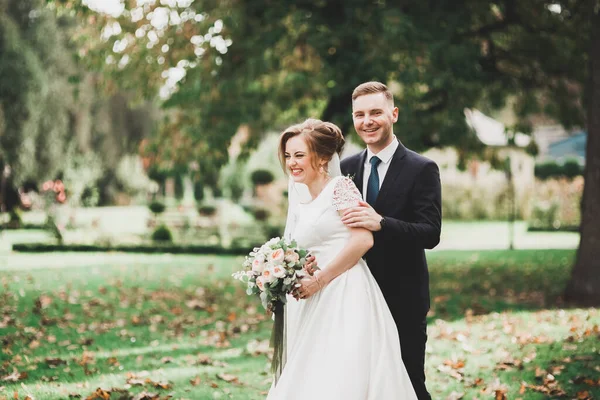 Hermosa boda romántica pareja de recién casados abrazándose en el parque — Foto de Stock