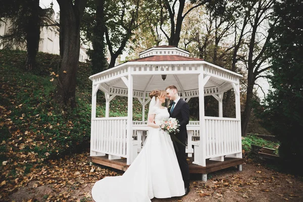 Pareja feliz boda caminando en un parque botánico —  Fotos de Stock