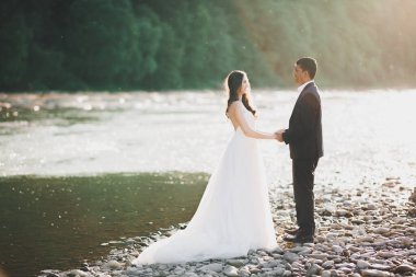 Düğün günü el ele tutuşan çift, damat ve gelin.