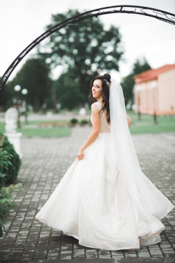 Gelinin güzel portresi moda gelinliği içinde tüylü, lüks makyaj ve saç stili.