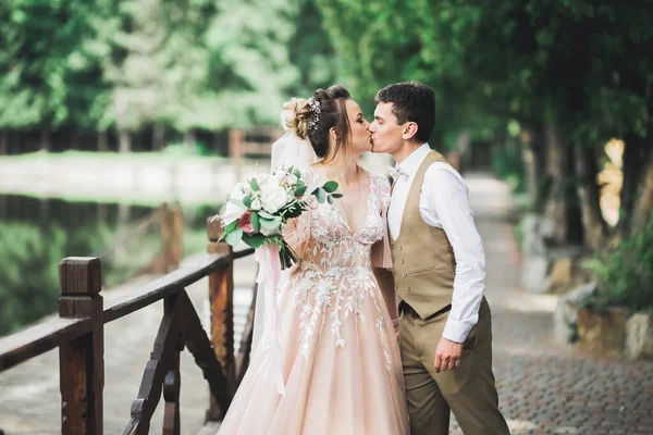 Pengantin wanita dan pengantin pria yang cantik merangkul dan mencium di hari pernikahan mereka di luar ruangan — Stok Foto