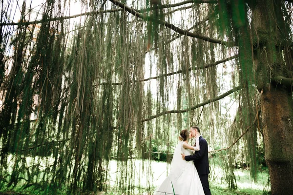 Bela noiva e noivo abraçando e beijando em seu dia de casamento ao ar livre — Fotografia de Stock