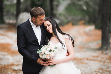 Parkta kucaklaşan yeni evli çiftin güzel romantik düğünü.