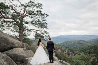 Harika bir gelin damada poz veriyor ve harika manzaralı dağlarda eğleniyor. Mesajlaşacak yer, düğün çifti.