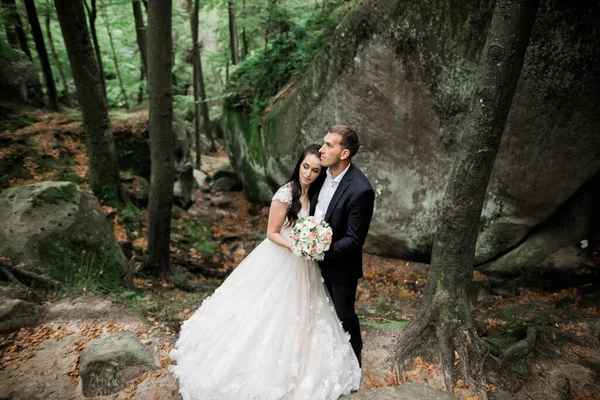 Romantico, fiaba, felice coppia di sposi che si abbraccia e si bacia in un parco, alberi sullo sfondo — Foto Stock