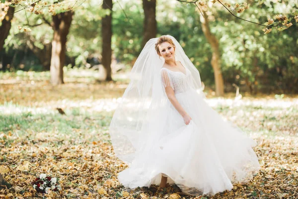 Belle jeune mariée de luxe en robe de mariée posant dans le parc — Photo