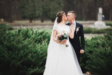 Güzel gelin ve damat düğün günlerinde kucaklaşıp öpüşürler.