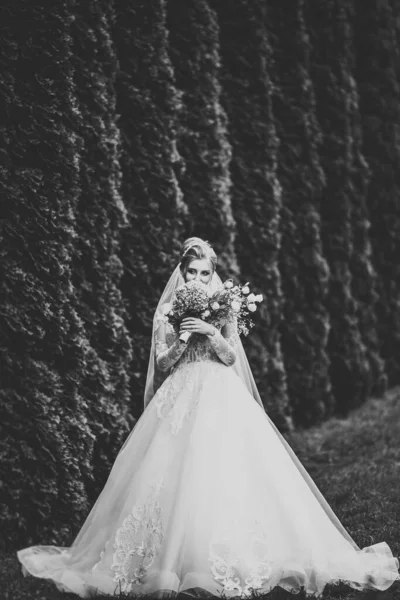 Retrato de belleza de la novia con vestido de novia de moda con plumas con maquillaje y peinado de lujo deleite — Foto de Stock