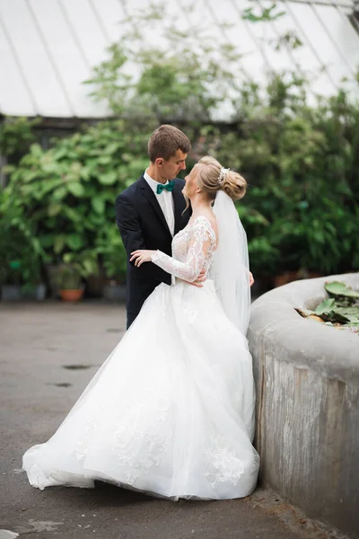 Moment de mariage romantique, couple de jeunes mariés souriant portrait, mariée et marié câlin — Photo