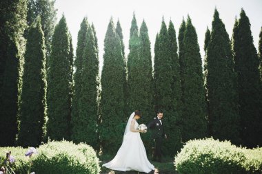 Botanik parkında yürüyen mutlu bir çift.