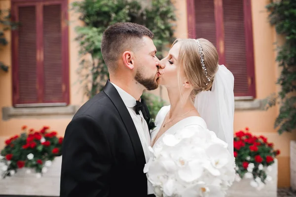 Güzel gelin ve damat düğün günlerinde kucaklaşıp öpüşürler.