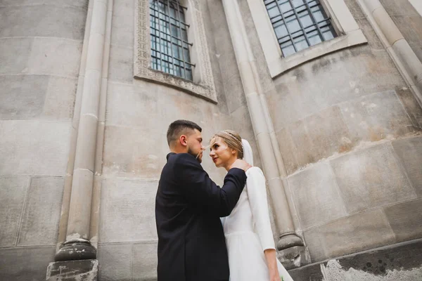 Romantiskt bröllop ögonblick, några nygifta leende porträtt, brud och brudgum kramar — Stockfoto