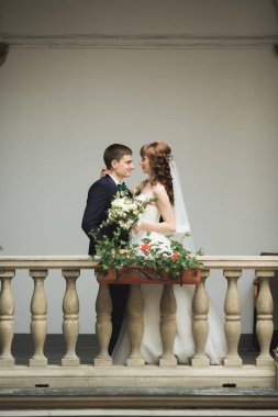 Mükemmel bir çift gelin ve damat düğün günlerinde poz verip öpüşürler.