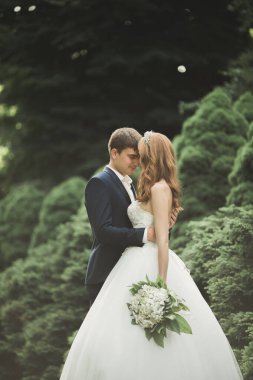 Güzel romantik bir çift yeni evliler gün batımında parkta sarılıyorlar.