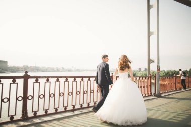 Genç bir düğün çifti, damat portresi olan güzel bir gelin, yaz doğası.