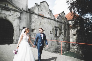 Şehvetli evli çift, eski Slav kalesinin önünde sevgililer günü kucaklaşması.