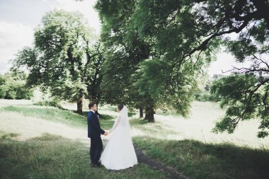 Botanik parkında yürüyen mutlu bir çift.