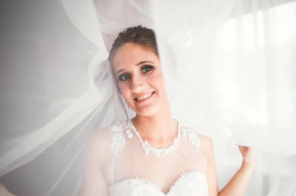 Retrato de novia hermosa con velo de moda en la mañana de la boda — Foto de Stock