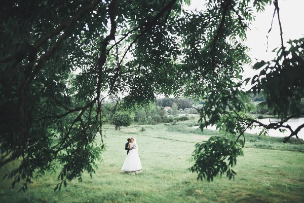 신혼 부부 가손을 잡고 뛰어다니며 공원에서 뛰고 뛰는 모습 — 스톡 사진