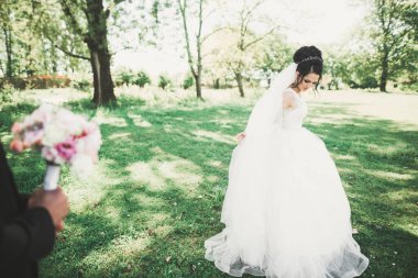 Mükemmel bir çift gelin ve damat düğün günlerinde poz verip öpüşürler.