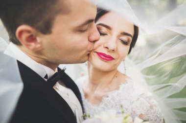 Mutlu düğün çift büyüleyici damat ve mükemmel gelin parkta poz