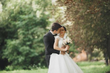 Mutlu düğün çift büyüleyici damat ve mükemmel gelin parkta poz