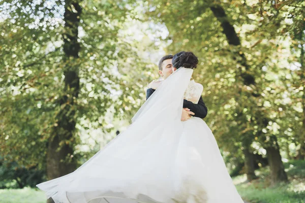 Boldog esküvői pár bájos vőlegény és tökéletes menyasszony pózol park — Stock Fotó