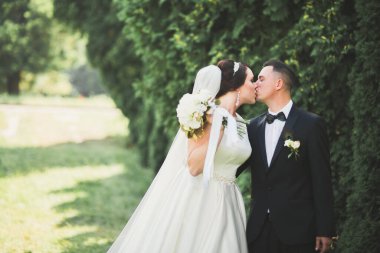 Romantik, peri masalı, mutlu yeni evli çift parkta sarılıp öpüşüyor, arka planda ağaçlar...