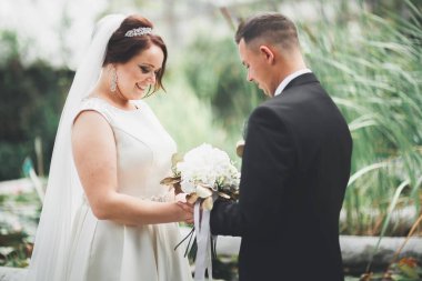 Botanik parkında yürüyen mutlu bir çift.