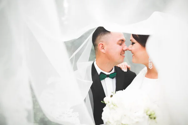 Pareja perfecta novia, novio posando y besándose en el día de su boda — Foto de Stock