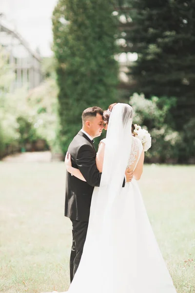 Coppia perfetta sposa, sposo posa e baci nel loro giorno del matrimonio — Foto Stock