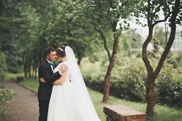 Glückliches Hochzeitspaar beim Spaziergang in einem botanischen Park — Stockfoto